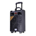 New Rechargeable Portable Trolley Speaker with Laser Light